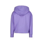 Raizzed truien & vesten 841 Purple hebe R123KGN34004