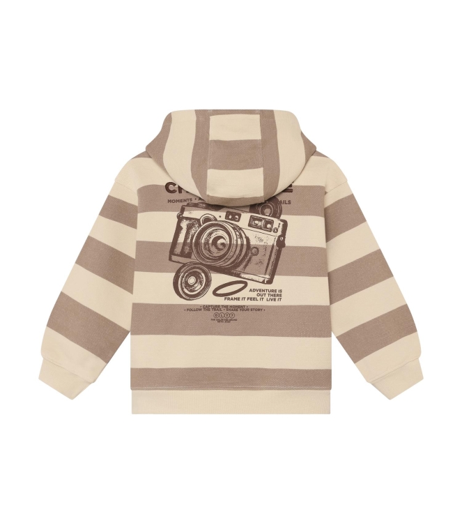 Daily7 truien Plaza Taupe 920455