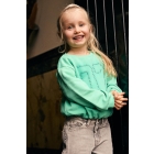 Daily7 truien Sea Green 930464