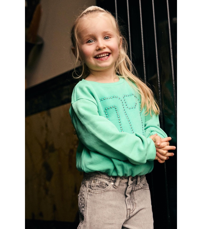 Daily7 truien Sea Green 930464