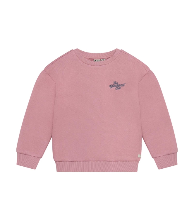 Daily7 truien Lilas 930467