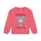 Daily7 truien Desert Rose 930469