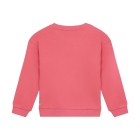 Daily7 truien Desert Rose 930469