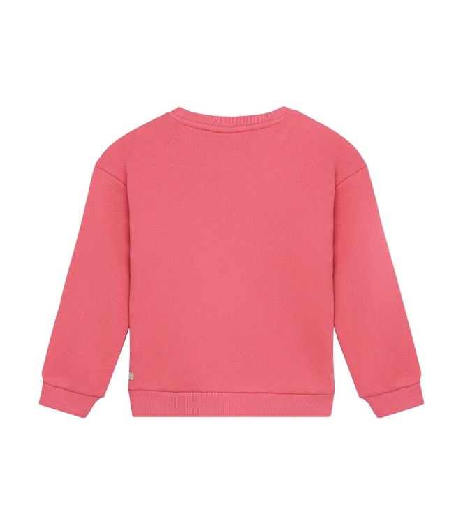 Daily7 truien Desert Rose 930469
