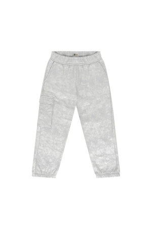 Daily7 Broek Coated Metallic Silver