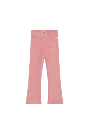 Daily7 Flared Broek Velvet Lilas
