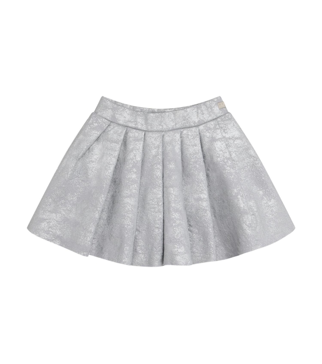 Daily7 rokken & skorts Metallic Silver 930502