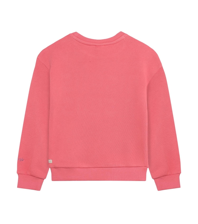 Daily7 truien Desert Rose 930520