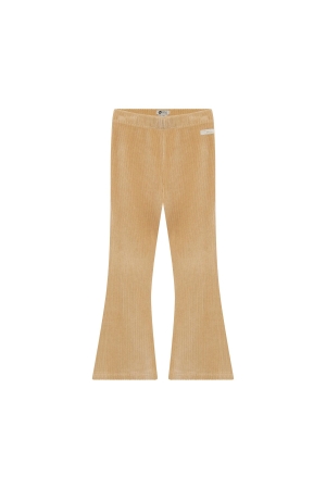 Daily7 Flared Broek Velvet Ginger Root