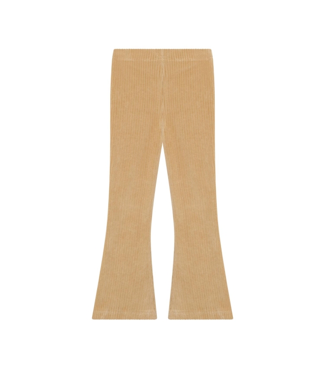 Daily7 broeken Ginger Root 930544