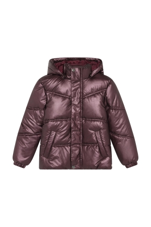 Daily7 Winterjas Metallic Huckleberry