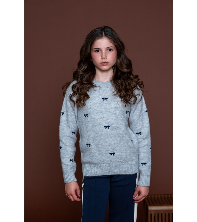 Geisha truien Grey/Navy 64538K-23