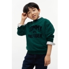 Tommy Hilfiger truien Rural Green KB0KB10631