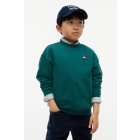 Tommy Hilfiger truien Rural Green KS0KS00769