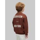 Calvin Klein truien Rocky Road LVCKFJB34B