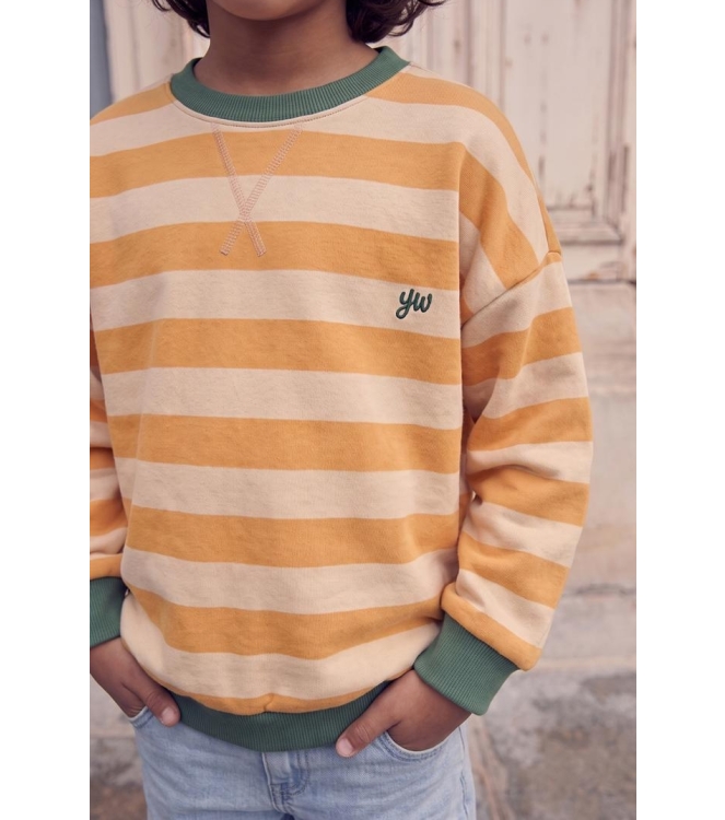 Your Wishes truien Sunflower YAW26-511STK
