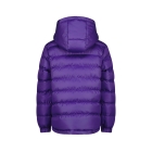 Raizzed jassen 863 Wisteria purple R224KBN10007