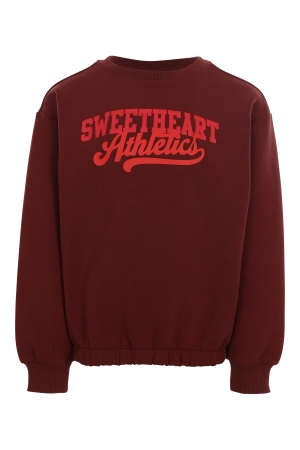Looxs Little Scuba sweater Chestnut