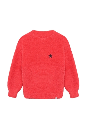 Noppies Pullover regular fit Geranium