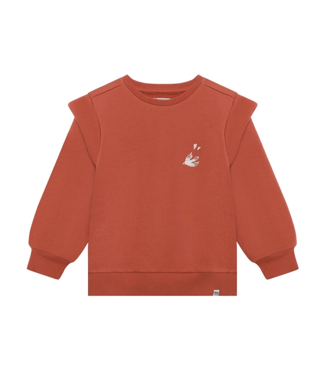Noppies truien Dusty Cedar 6200030