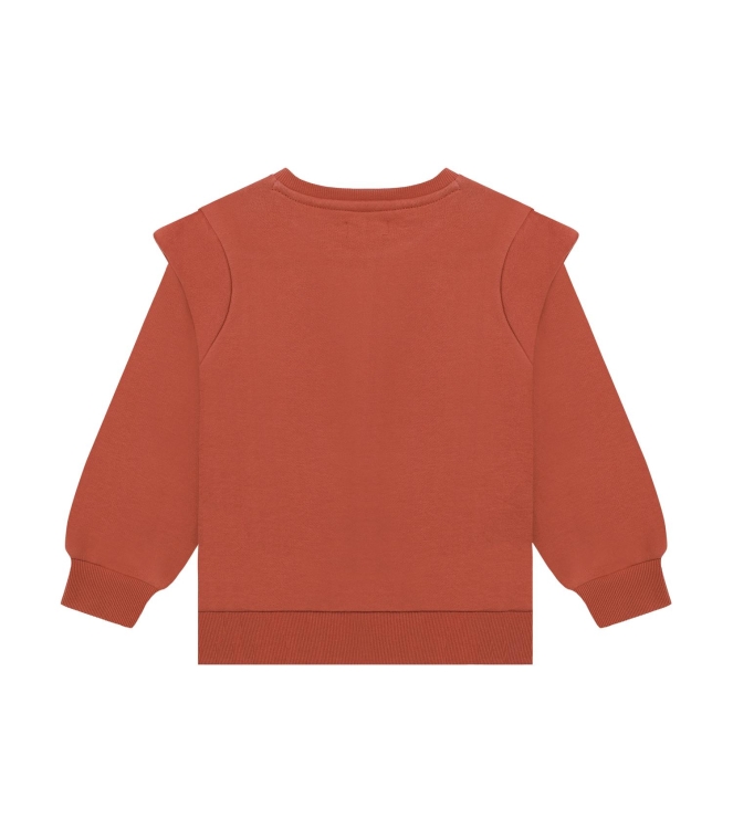 Noppies truien Dusty Cedar 6200030