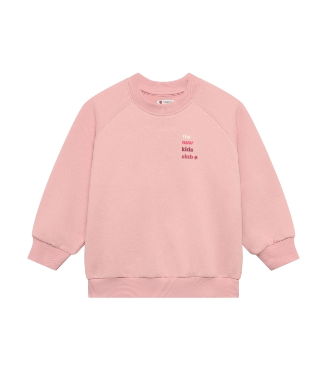 Noppies truien Pale Mauve 6200031