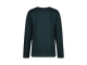 Raizzed shirts 1445 Scarab green R224KBN30008
