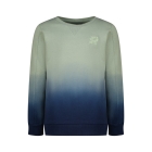 Raizzed truien & vesten 1444 Hedge green R224KBN34003