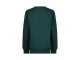 Raizzed truien & vesten 1445 Scarab green R224KBN34007