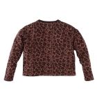 Z8 shirts Autumn teddy Doris