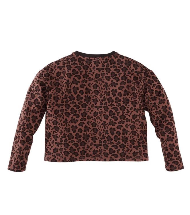 Z8 shirts Autumn teddy Doris
