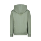 Raizzed truien & vesten 1444 Hedge green R224KBN34011