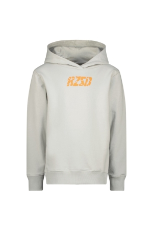 Raizzed truien & vesten 1319 Misty grey R224KBN34011