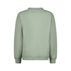 Raizzed truien & vesten 1444 Hedge green R224KBN34012
