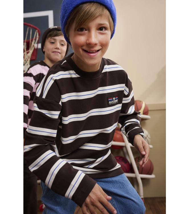 Z8 shirts Chocolate plum Benjiro