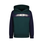 Raizzed truien & vesten 1445 Scarab green R224KBN34603