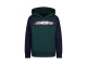 Raizzed truien & vesten 1445 Scarab green R224KBN34603