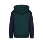 Raizzed truien & vesten 1445 Scarab green R224KBN34603