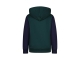 Raizzed truien & vesten 1445 Scarab green R224KBN34603