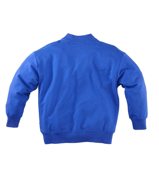 Z8 truien Electric blue Jaylen