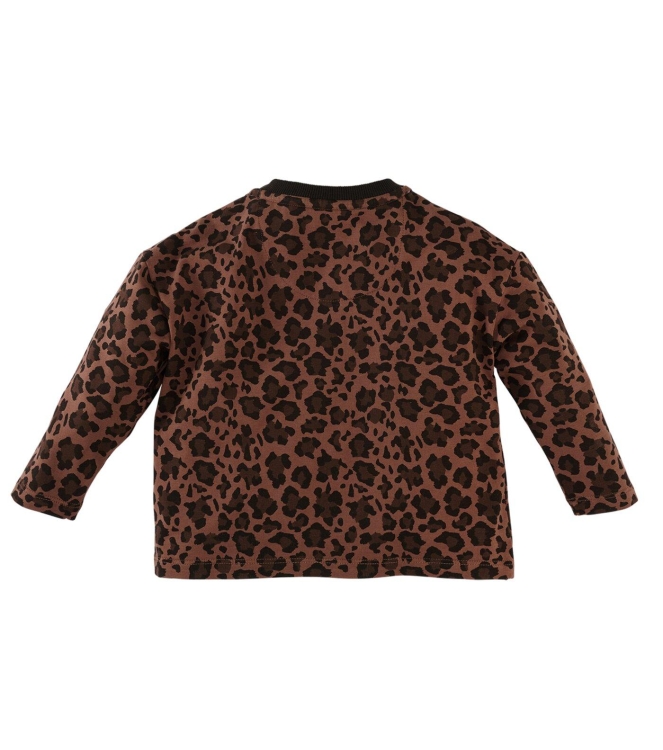 Z8 shirts Autumn teddy Aila