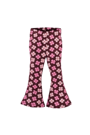 Z8 Rana flared broek Berry brave