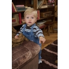 Z8 shirts Chocolate plum Freddie