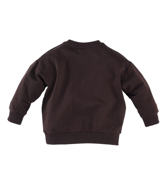 Z8 truien Chocolate plum Janoah