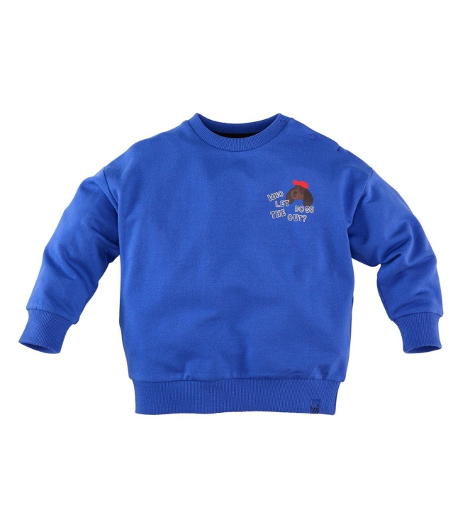 Z8 truien Electric blue Vinz