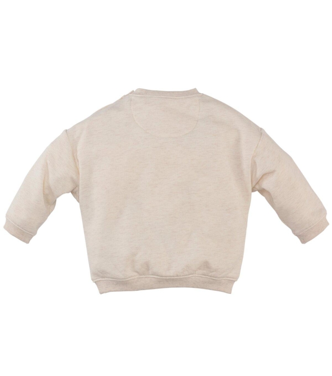 Z8-Newborn truien Beige melange Beau