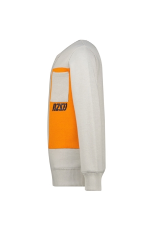 Raizzed truien & vesten 1319 Misty grey R224KBN34006