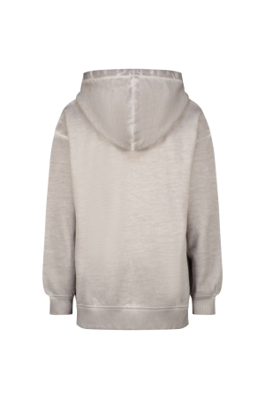 Raizzed truien & vesten 1319 Misty grey R224KBN34010