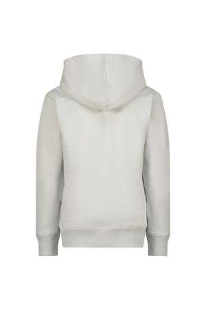 Raizzed truien & vesten 1319 Misty grey R224KBN34011