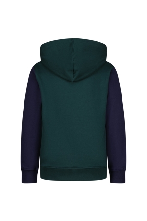 Raizzed truien & vesten 1445 Scarab green R224KBN34603